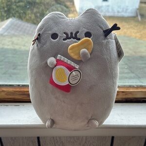 Gray Pusheen Plush with Chips Crisps